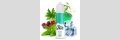 Druidensuppe 10ml Bottlefill Aroma by Flavour-Smoke