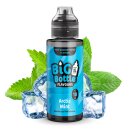 Big Bottle - Aroma Arctic Mint 10ml