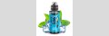 Big Bottle - Aroma Arctic Mint 10ml