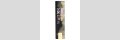 Wanted Aroma Longfill - Vanillepudding Erdbeere - 10ml in 60ml Flasche STEUERWARE