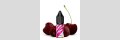 OXVA Cherry Fizz Nikotinsalz Liquid 10 ml