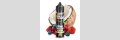 THE VAPING FLAVOUR Coconut Infection Rework Aroma 10ml