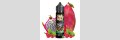 OWL SALT Cactus Dragon Razz Aroma 10ml