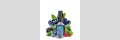 OS LIQUID Wild Forest Nikotinsalz Liquid 10 ml